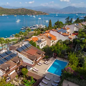 Daffodil Fethiye
